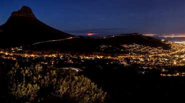 Lionshead-South-Africa